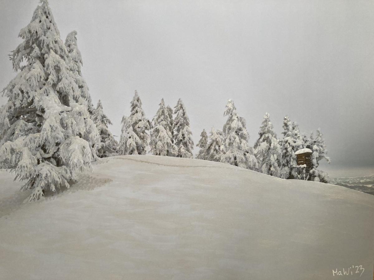 Schneelandschaft (Snow Landscape)